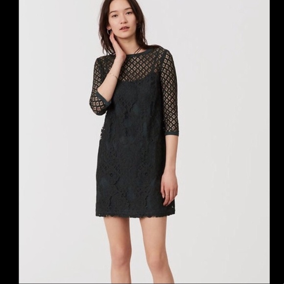 LOFT | Dresses | Loft Diamond Lace Shift Dress In Dark Green | Poshmark